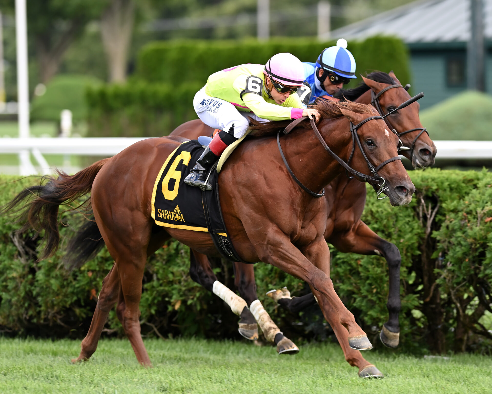 Saratoga Raceway Picks - rklgia0