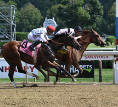 Raging Sea Faces Major Test After Saratoga Debut Win | 2022 Alcibiades Stakes Preview & FREE Picks