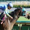 Senor Buscador Rallies To Win Breeders’ Cup Dirt Mile Berth | 2022 Ack Ack Stakes Replay & Reaction