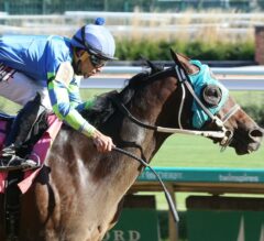 Senor Buscador Rallies To Win Breeders’ Cup Dirt Mile Berth | 2022 Ack Ack Stakes Replay & Reaction