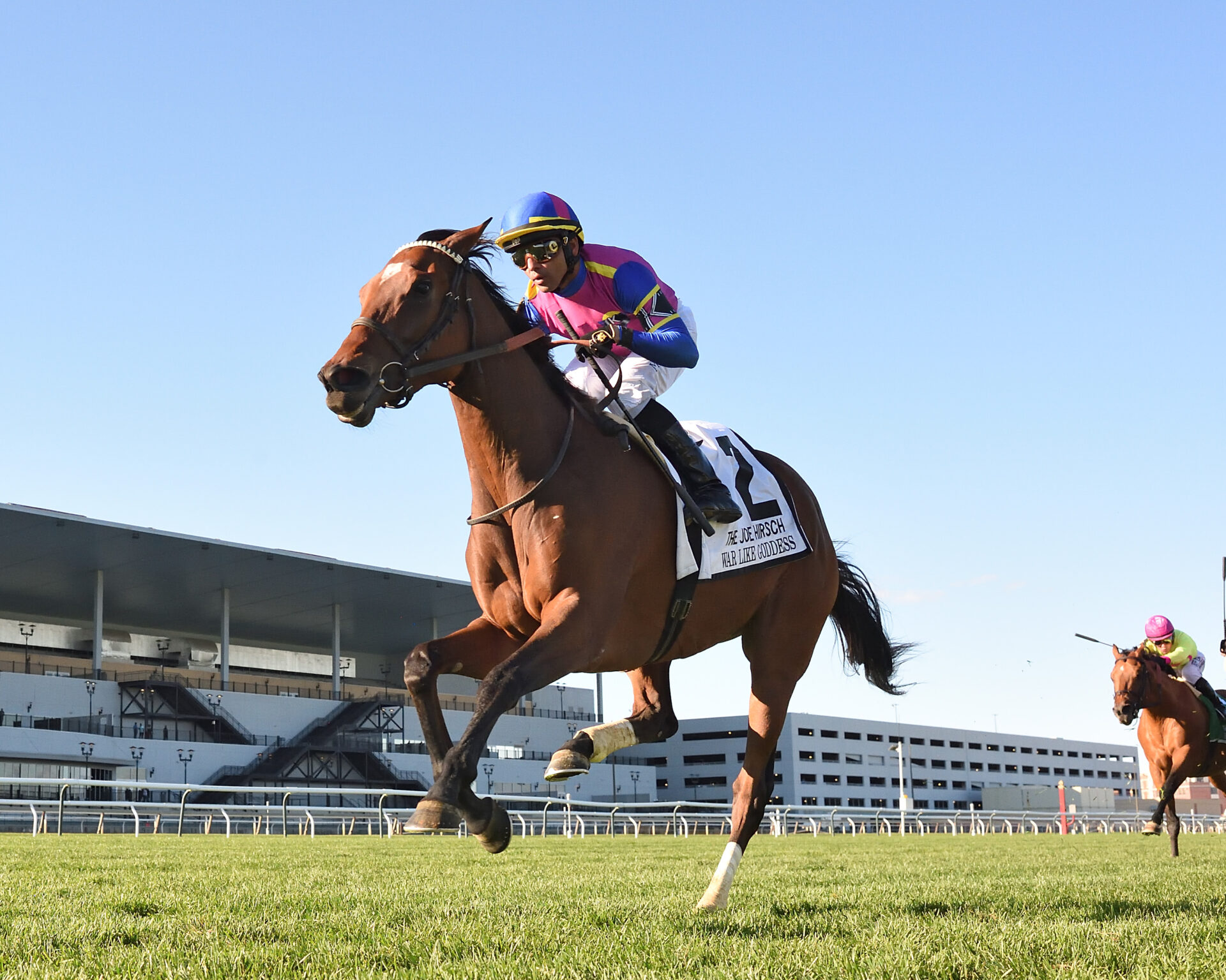 War Like Goddess Asserts Dominance; Breeders' Cup Next 2022 Turf