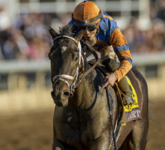 Forte, “All Others” End Of Kentucky Derby Future Wager Pool 4 As Favorites