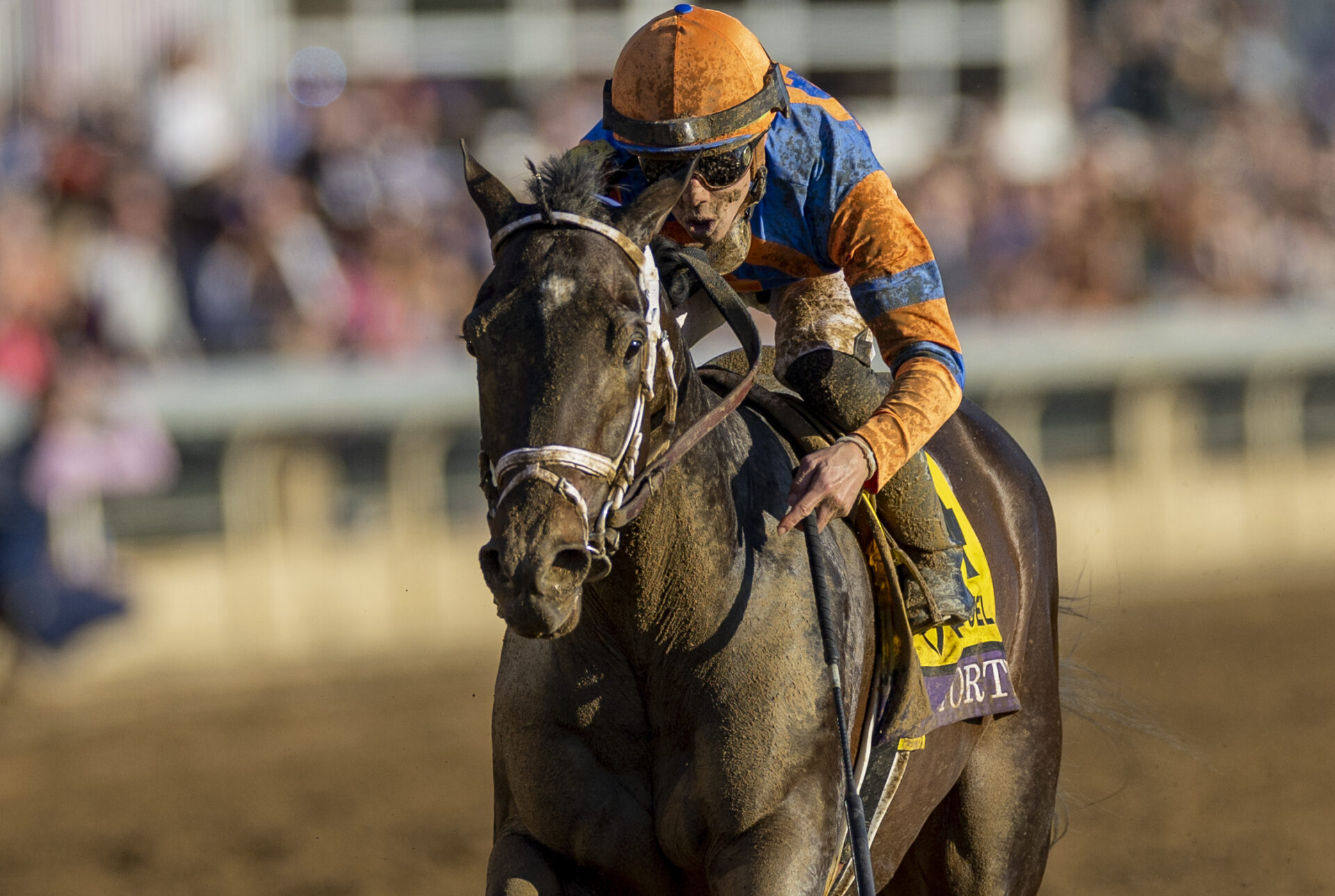 Top 5 Kentucky Derby 2023 Horses Forte Remains Top Choice; Did