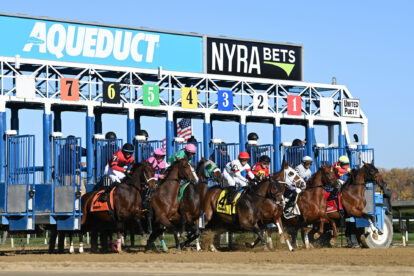 Racing Club - Horse Ownership in Alberta