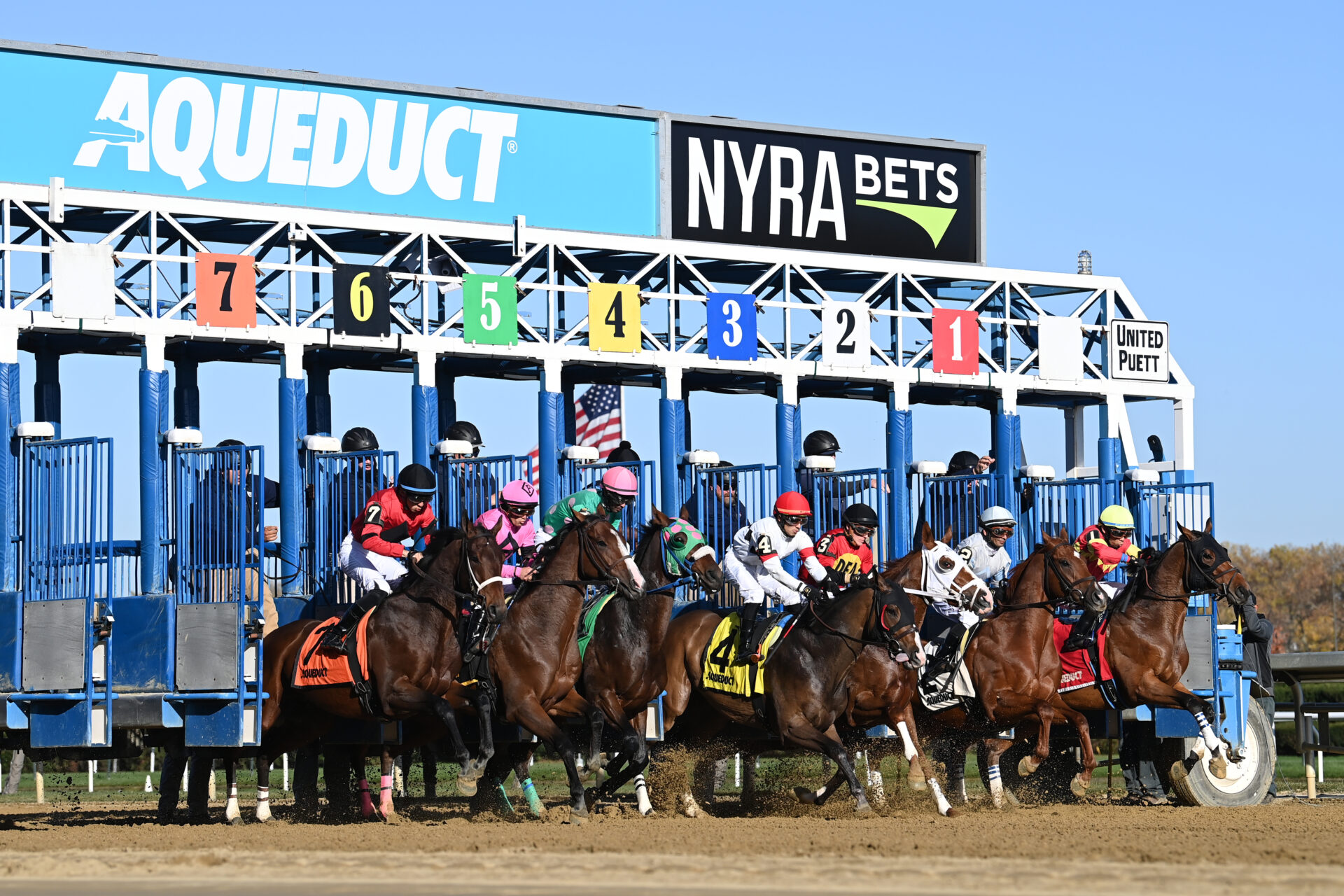 Aqueduct Picks | NYSSS Park Avenue 2024