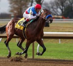 2023 Kentucky Derby Rankings 1/23/23: Arabian Knight To Make 3-Year-Old Debut In Southwest Stakes At Oaklawn Park