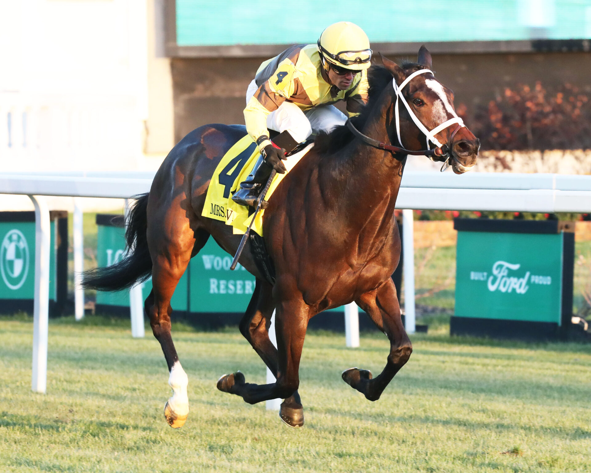 Belmont At The Big A Preview 2023 Floral Park Stakes