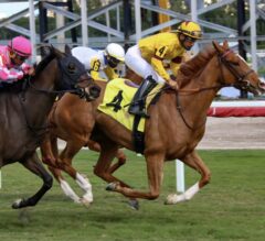 2022 Kathryn Crosby Stakes Preview & FREE Picks | Bipartisanship Looks Tough For Motion