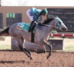 2022 Zia Park Derby Preview & FREE Picks | Bye Bye Bobby Back In Action, But Miller Duo Could Be Killer