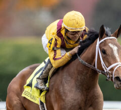 2022 Demoiselle Stakes Preview & FREE Picks | Can Anyone Beat Julia Shining, Sister To Champion Malathaat?