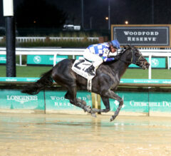 Pegasus World Cup News | Trademark Could Spring Another Upset