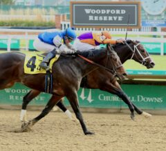 2023 Smarty Jones Stakes Preview & FREE Picks | Is Victory Formation the REAL DEAL?