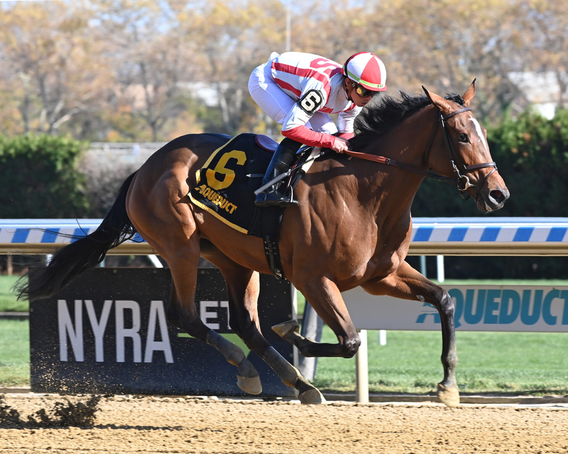 Kentucky Oaks Prep Races 2024 Sharl Natalina