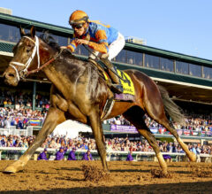 Top 5 Kentucky Derby 2023 Horses | Forte Early Favorite For Pletcher; Baffert, Cox, Asmussen All Close Behind