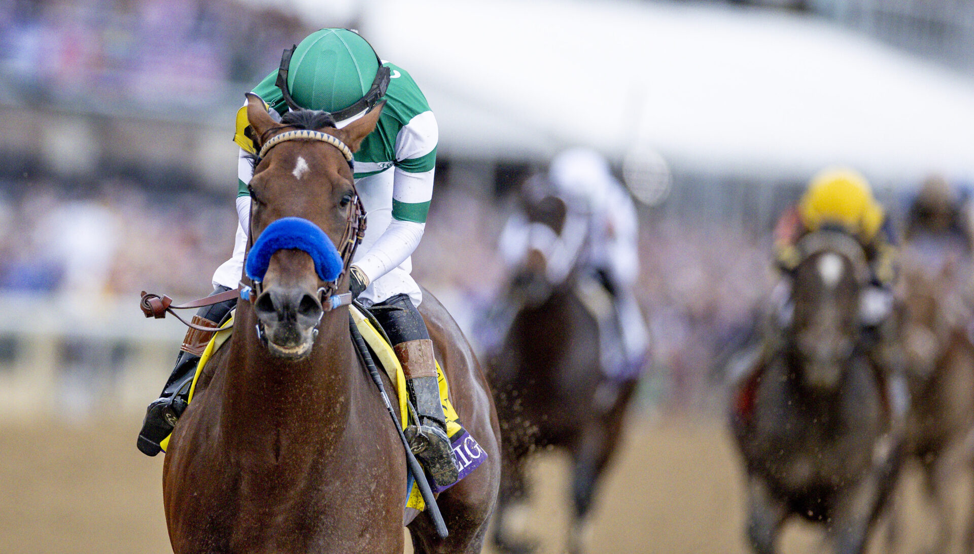 Top 10 Races of 2022 What Was the BEST Horse Race of the Year