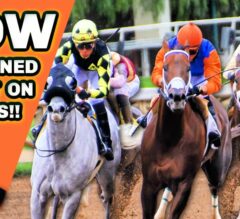 How I Learned To BET HORSE RACING Successfully! | Expert Tips To Help Improve Your Handicapping!