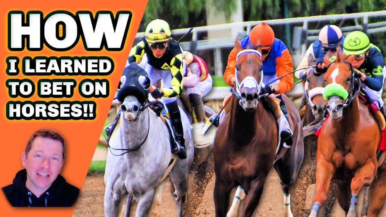 How I Learned To BET HORSE RACING Successfully! Expert Tips To Help Improve Your Handicapping
