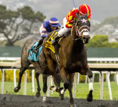 Del Mar Preview | Betty Grable Stakes 2023: Chancery Way Favored In Sunday Feature