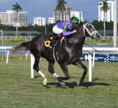 2022 Fort Lauderdale Stakes Preview & FREE Picks | Who Can BEAT Colonel Liam?