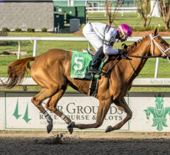 Fair Grounds Preview | Louisiana Champions Day Attracts 124 Horses Among 13 Races