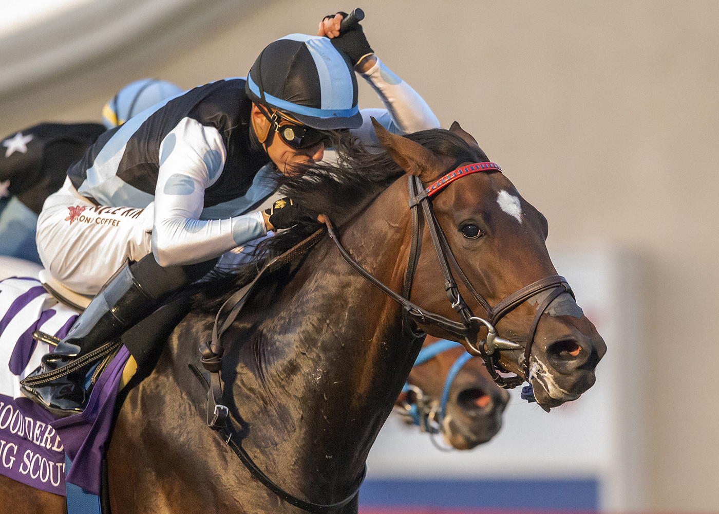 Del Mar Preview & FREE Picks | Hollywood Turf Cup 2023