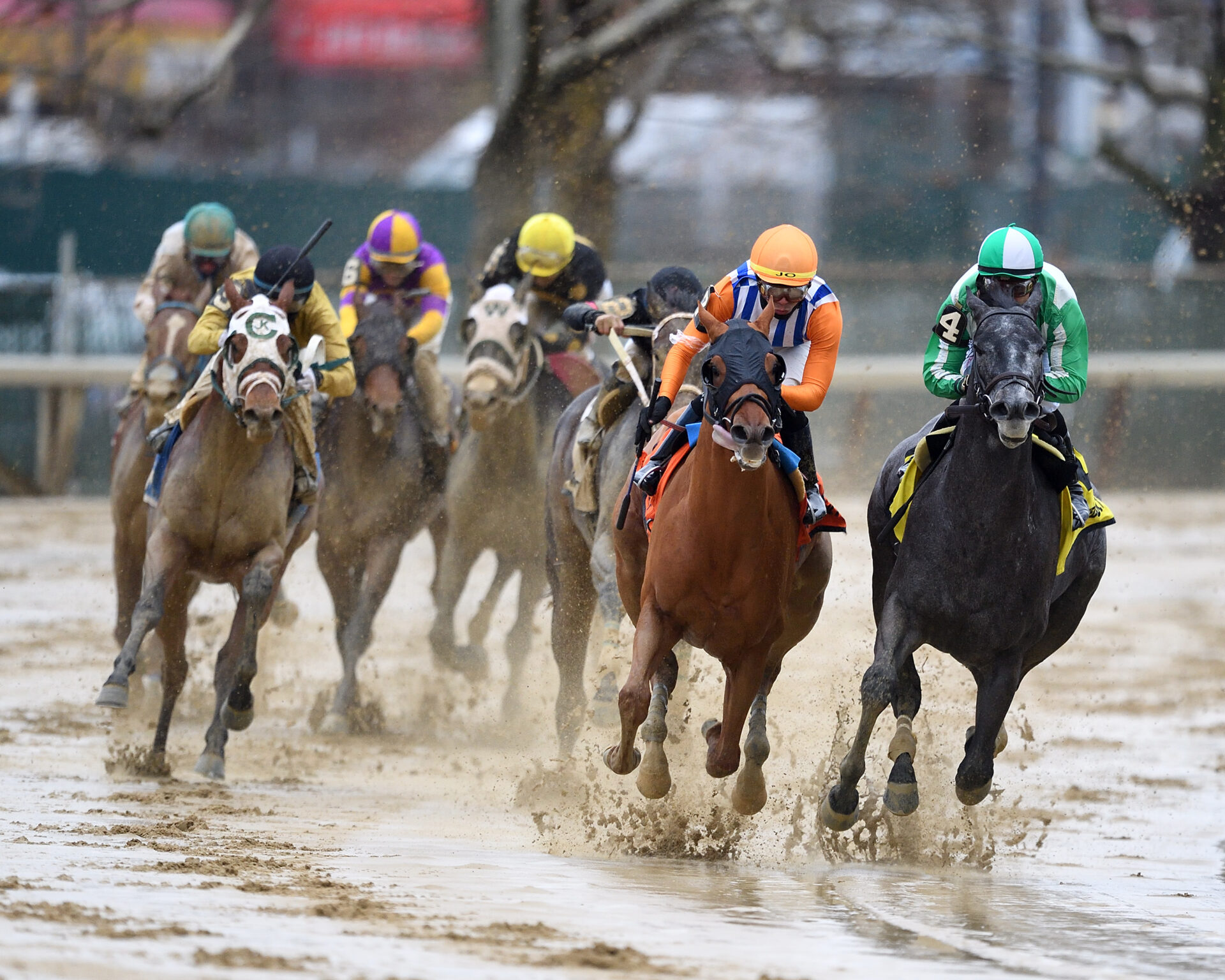 Top 5 Kentucky Derby 2023 Horses Remsen Stakes Top 2 Dubyuhnell