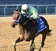 2022 NYSSS Fifth Avenue Preview & FREE Picks | Will Les Bon Temps Roll Or Bust As Race Favorite?