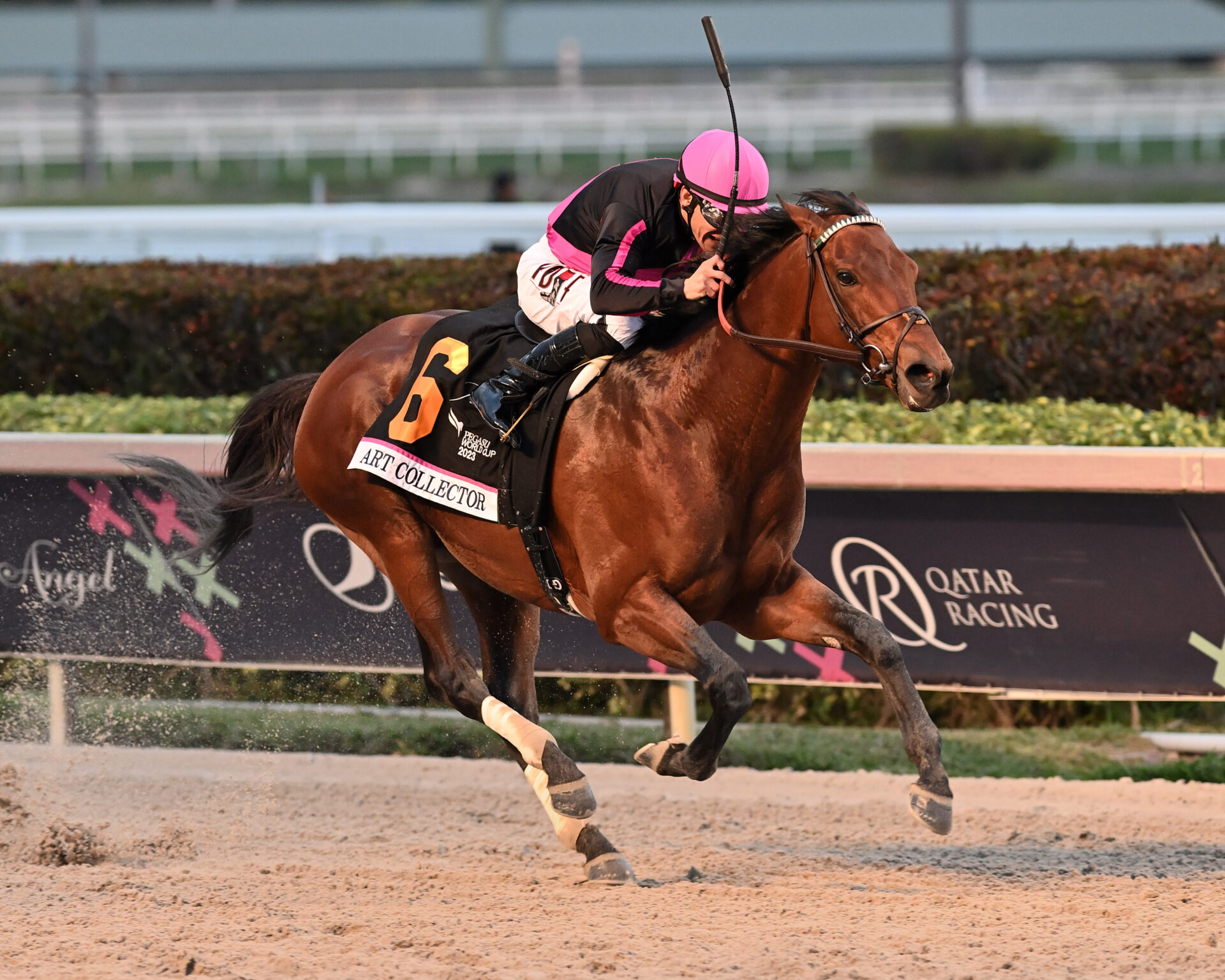 Pegasus World Cup Contenders, Picks and Results