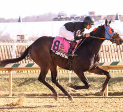 Maryland Hopeful Coffeewithchris Checks In At Pimlico | 2023 Preakness Stakes News