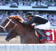 Cyberknife Headlines $3M Pegasus World Cup, Looks to Go Out on Top in Final Start