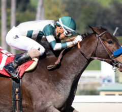 2023 Santa Anita Oaks Preview & FREE Picks | Can And Tell Me Nolies Turn The Tables On Faiza?