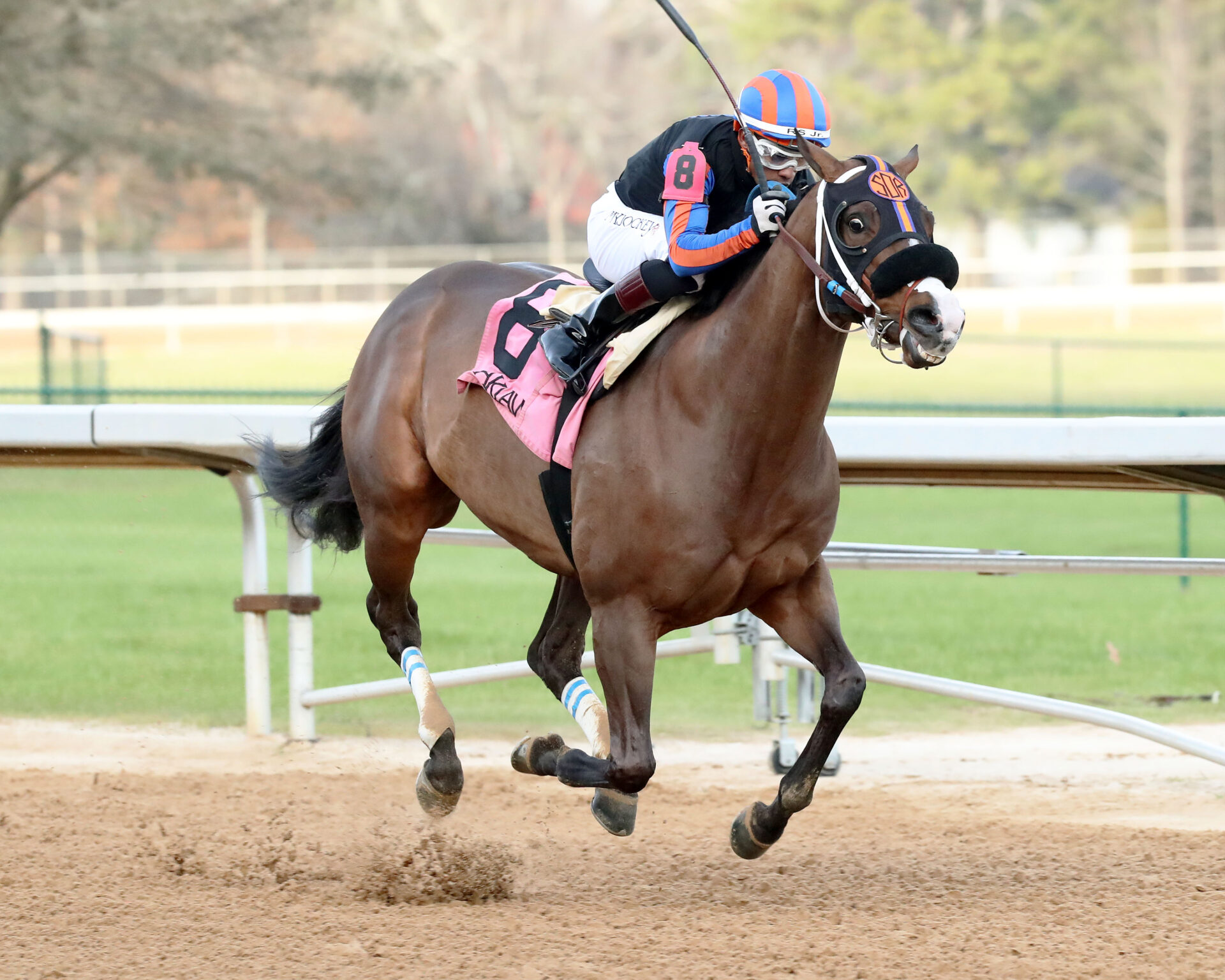 Razor Back Racing 2023 Razorback Handicap Preview & FREE Picks | Ginobili Looks To Build ...