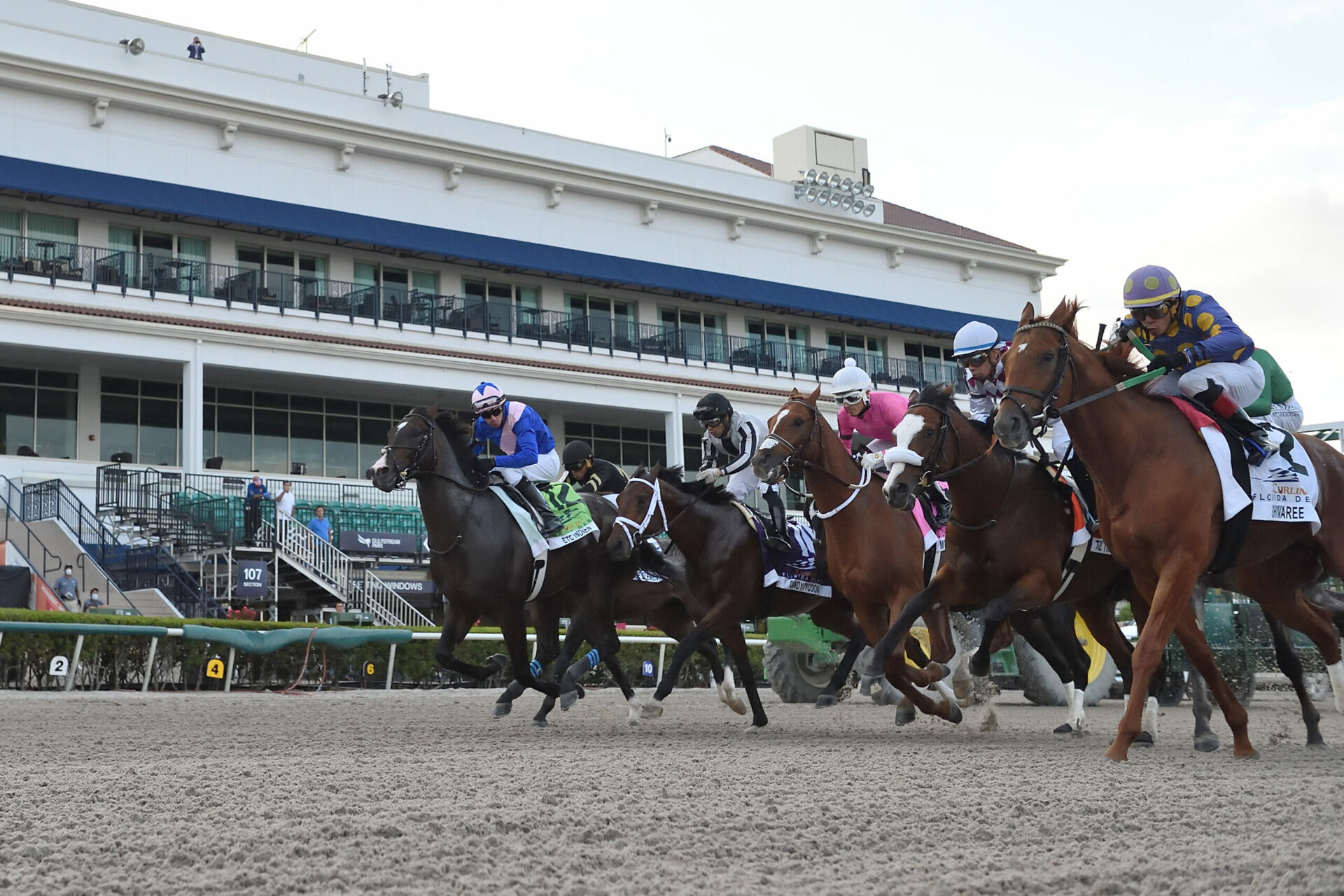 Gulfstream Park Saturday Feature Preview & FREE Picks Kingsbarns