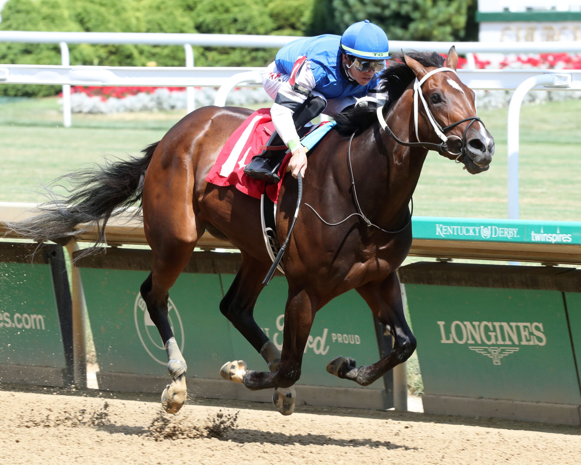 Oaklawn Park Race Track Entries - rlpi2ri