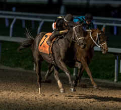 2023 Lecomte Stakes Replay | Instant Coffee Wins Big For Brad Cox, Earns More Kentucky Derby Points