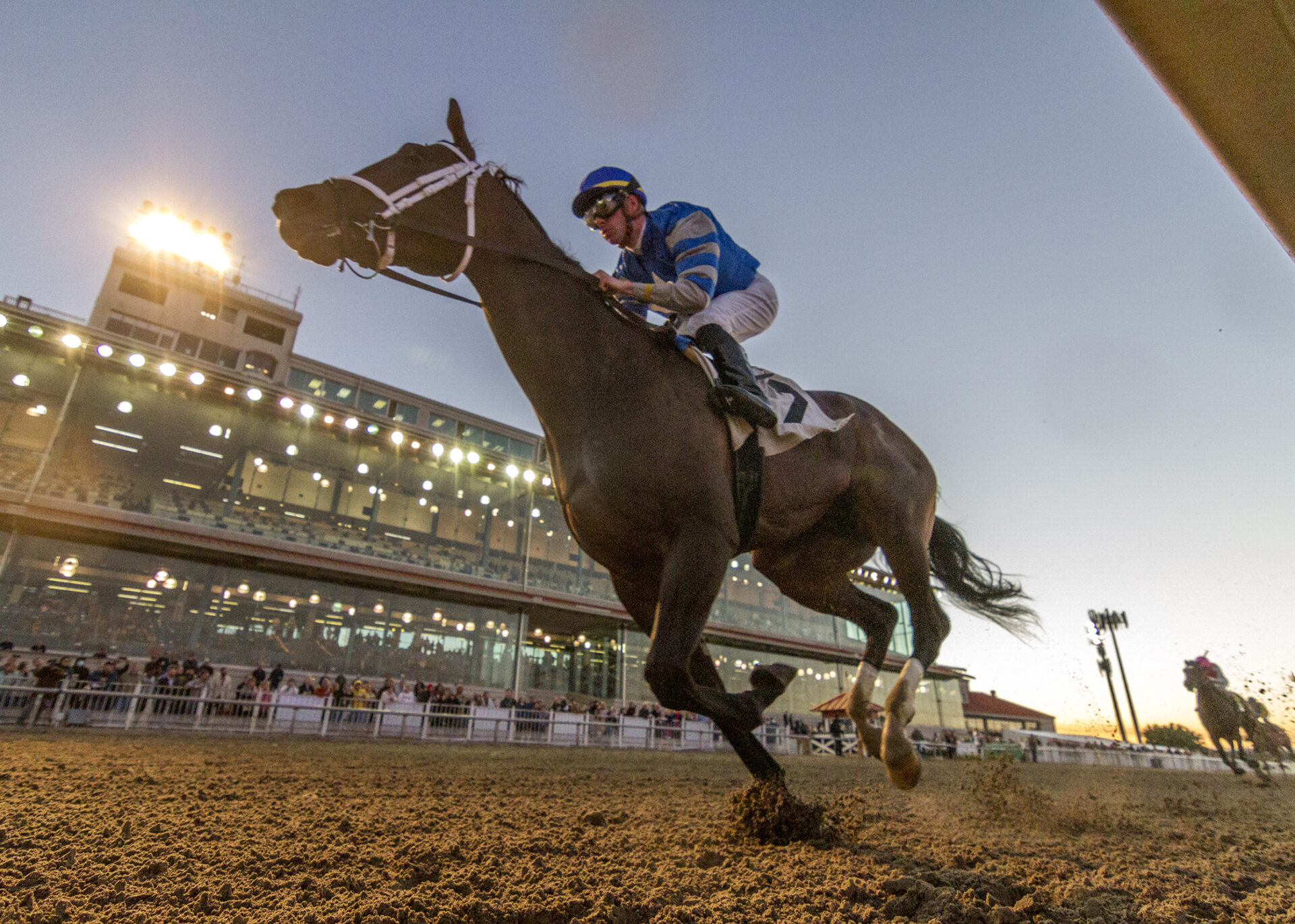 2022 Gun Runner Stakes Replay Jace’s Road Draws Clear In Early 2023