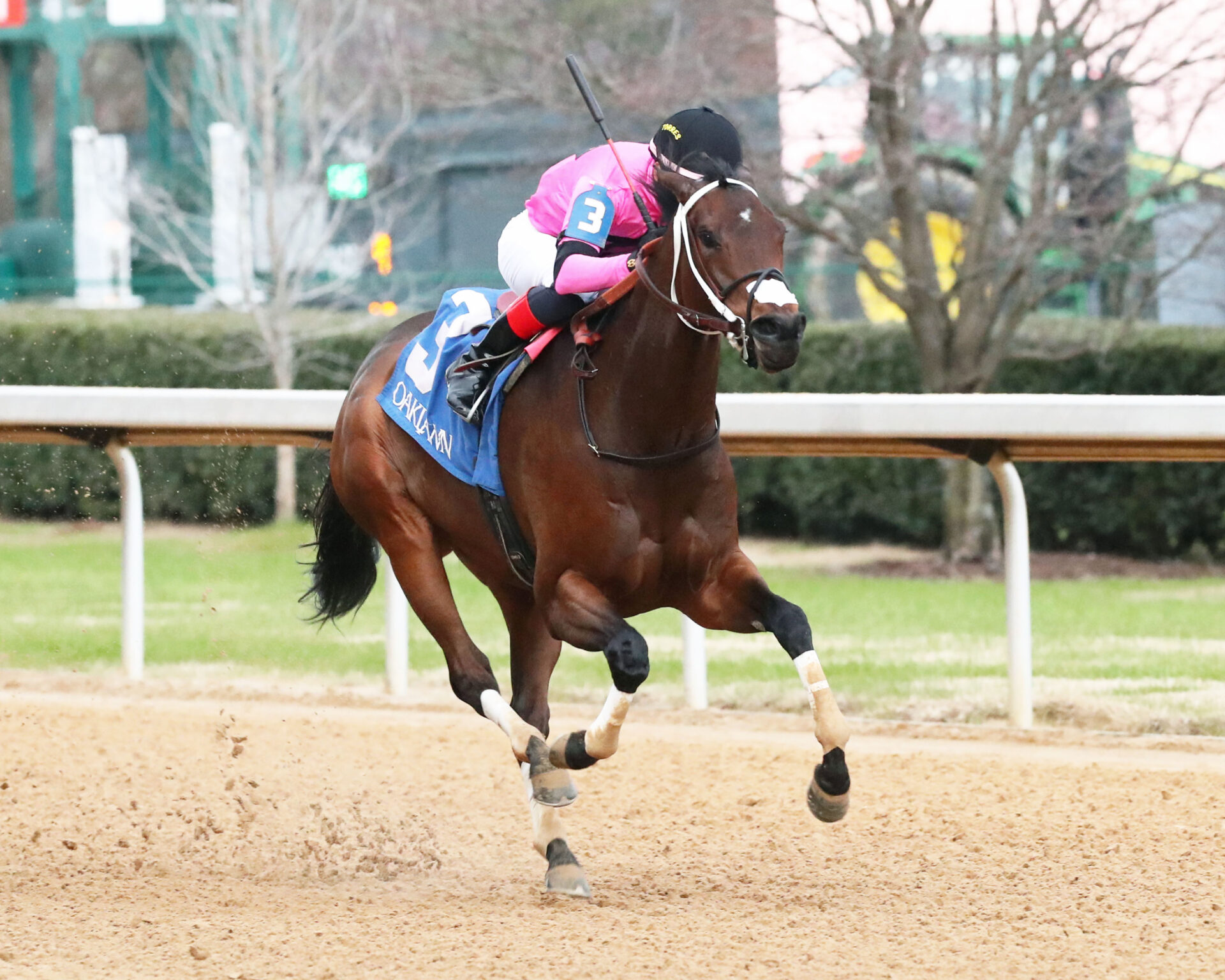 Oaklawn Park Picks - ztryb2a