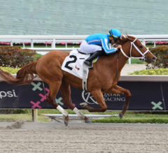 Mage Breezes At Gulfstream For 2023 Kentucky Derby; Florida Derby Runner-Up Ships To Kentucky Sunday