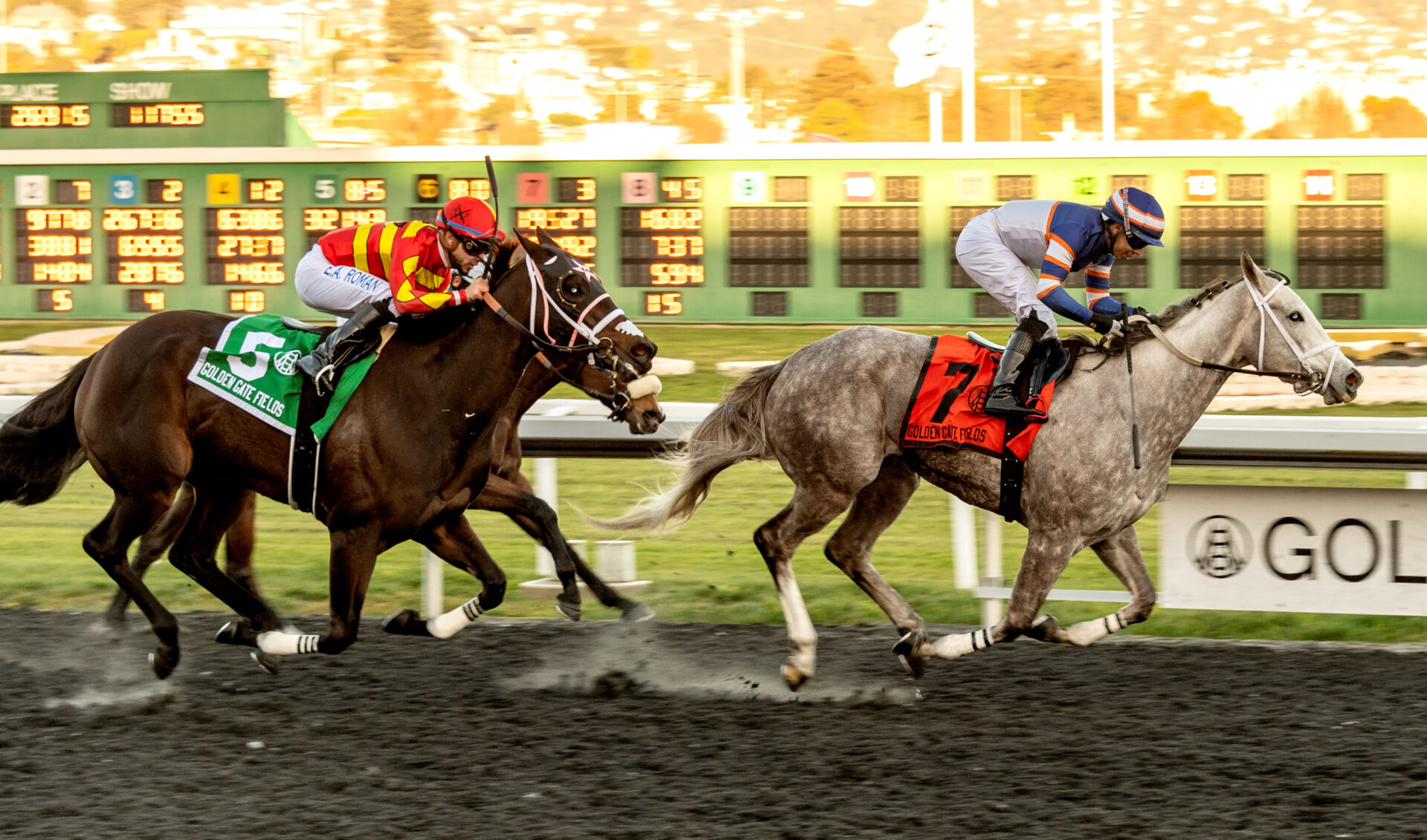 Santa Anita Park Preview | California Distaff Handicap 2023: Rose ...