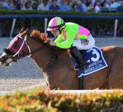 Gulfstream Park Preview | Mr. Prospector Stakes 2023: Sibelius Set For Title Defense