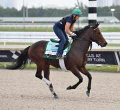 2023 Ladies Turf Sprint Stakes Preview | Wakanaka Could Be One To Beat At Kentucky Downs