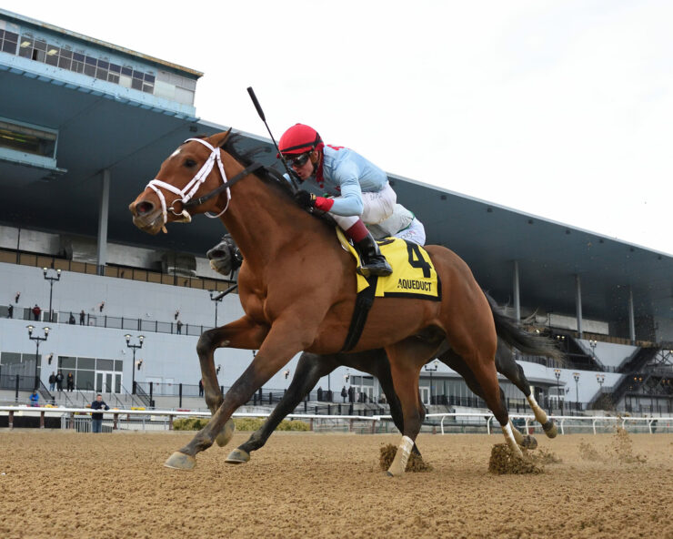 Risen Star Stakes Contenders, Picks and Results