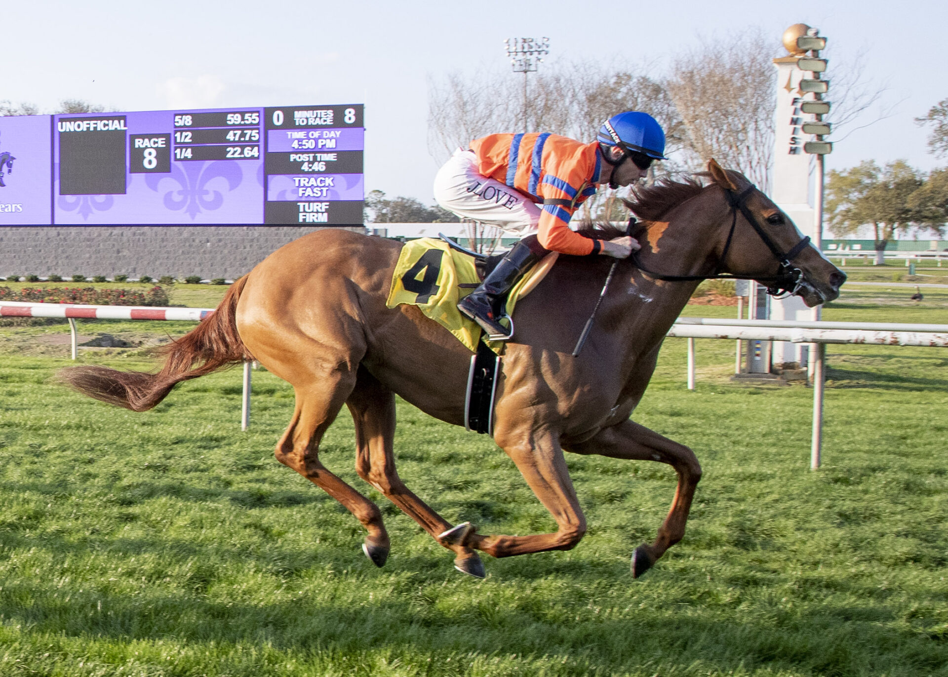 Fair Grounds Preview Nelson J. Menard Memorial Stakes 2024