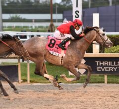 2023 Holy Bull Stakes Replay | Rocket Can Wins Despite Wide Trip; Earns 20 Kentucky Derby Points