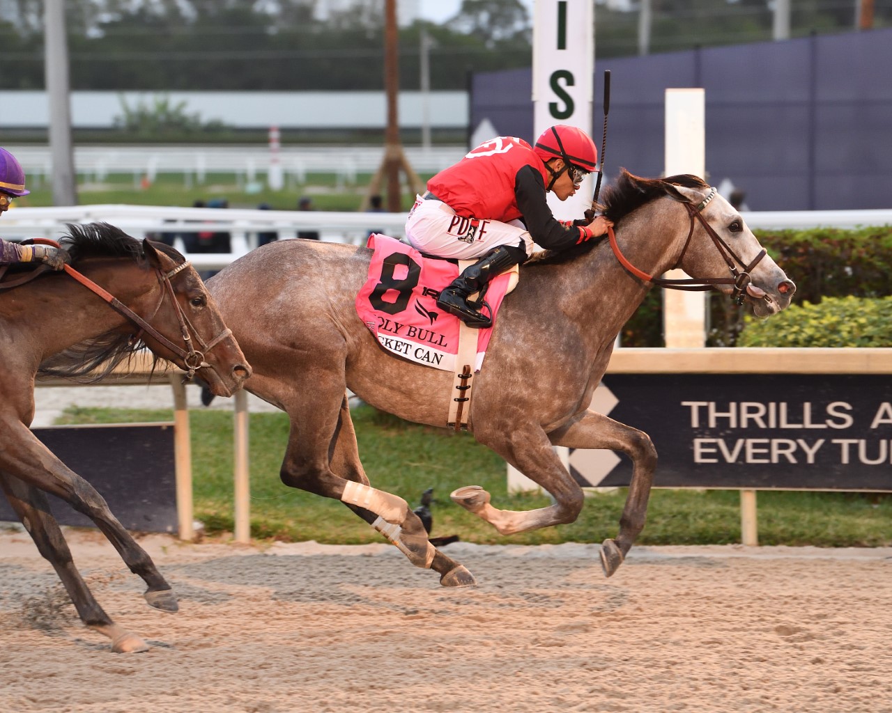 2023 Holy Bull Stakes Replay Rocket Can Wins Despite Wide Trip; Earns
