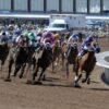 Sunland Derby Picks and Preview 2025 | Kentucky Derby Prep Race