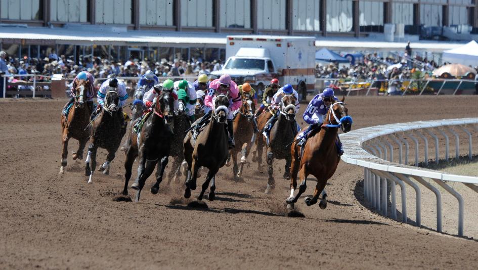 2023 Mine That Bird Derby Preview & FREE Picks Giroovin 1 Of 3