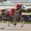 2023 Tampa Bay Derby Preview & FREE Picks | Time For Tapit Trice To Make Kentucky Derby Impact