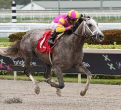 Upcoming Kentucky Derby Prep Races and Possible Starters