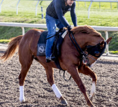 Two Phil’s Looks To Follow Rich Strike’s Path To Glory | 2023 Kentucky Derby Contender Profile
